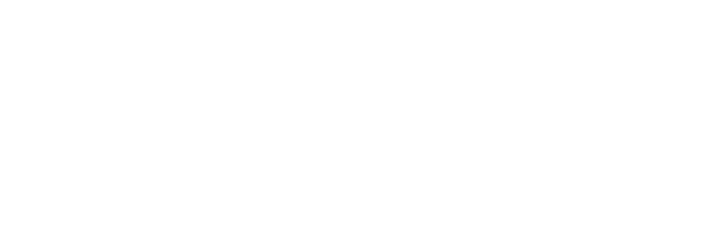 SS SOFT PERFORMANCE